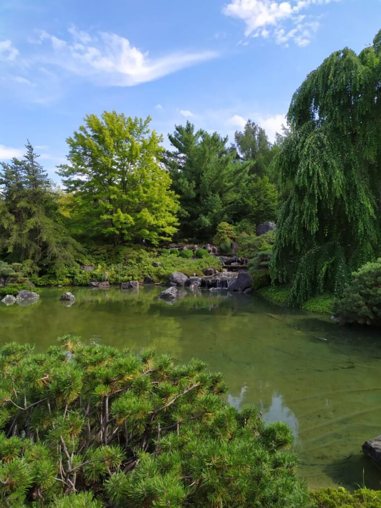 IMG-20190819-WA0042
