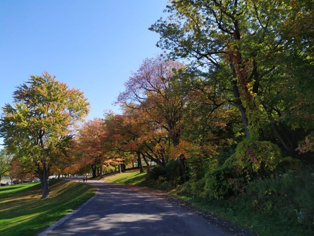IMG-20191013-WA0011