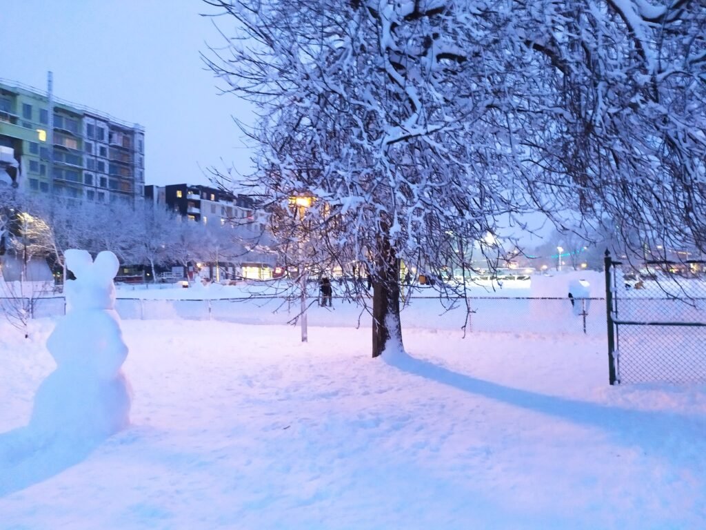 IMG_20210116_165656